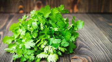 Cilantro: Purifying the Body and Mind