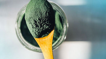 Why You Should Incorporate Blue Algae Into Your Diet
